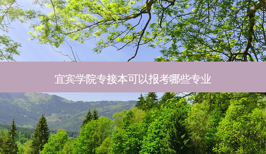 宜宾学院专接本可以报考哪些专业-第1张图片-天智网 宜宾学院专接本可以报考哪些专业-第1张图片-天智网