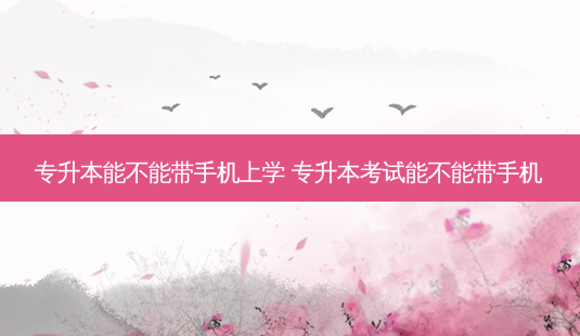 专升本能不能带手机上学 专升本考试能不能带手机-第1张图片-天智网 专升本能不能带手机上学 专升本考试能不能带手机-第1张图片-天智网