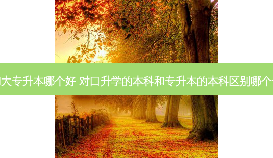 对口升本和大专升本哪个好 对口升学的本科和专升本的本科区别哪个含金量高点-第1张图片-天智网 对口升本和大专升本哪个好 对口升学的本科和专升本的本科区别哪个含金量高点-第1张图片-天智网