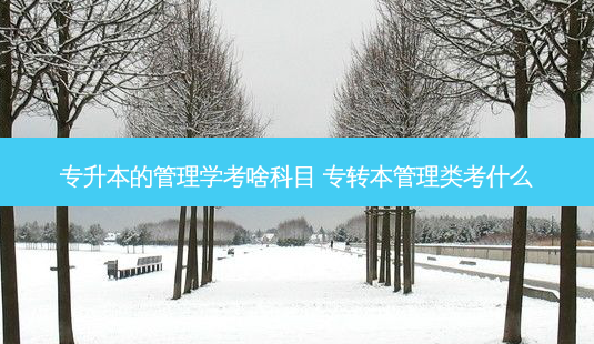 专升本的管理学考啥科目 专转本管理类考什么-第1张图片-天智网 专升本的管理学考啥科目 专转本管理类考什么-第1张图片-天智网