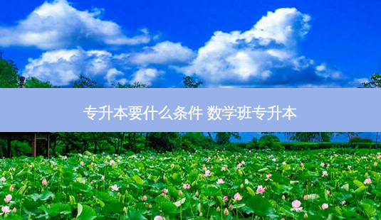 专升本要什么条件 数学班专升本-第1张图片-天智网 专升本要什么条件 数学班专升本-第1张图片-天智网