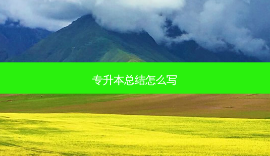 专升本总结怎么写-第1张图片-天智网 专升本总结怎么写-第1张图片-天智网