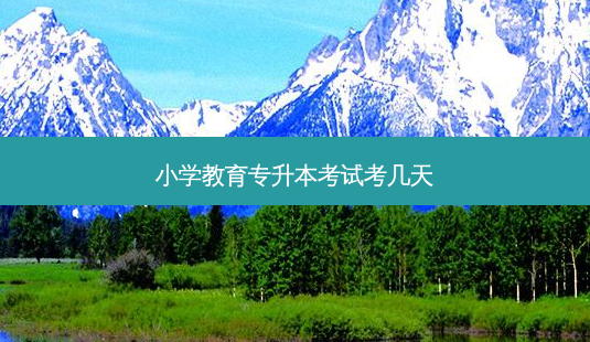 小学教育专升本考试考几天-第1张图片-天智网 小学教育专升本考试考几天-第1张图片-天智网
