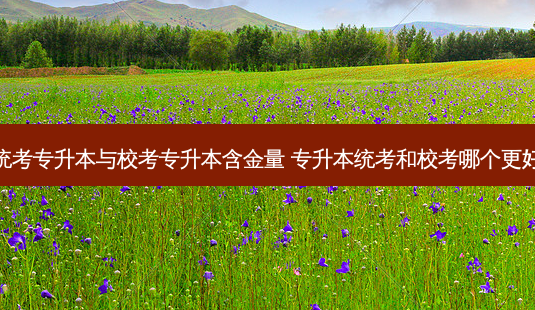 统考专升本与校考专升本含金量 专升本统考和校考哪个更好-第1张图片-天智网 统考专升本与校考专升本含金量 专升本统考和校考哪个更好-第1张图片-天智网