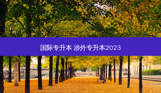 国际专升本 涉外专升本2023-第1张图片-天智网 国际专升本 涉外专升本2023-第1张图片-天智网