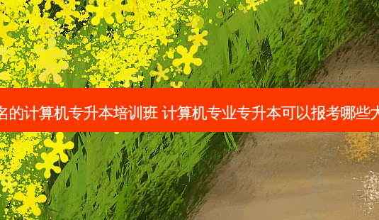 知名的计算机专升本培训班 计算机专业专升本可以报考哪些大学-第1张图片-天智网 知名的计算机专升本培训班 计算机专业专升本可以报考哪些大学-第1张图片-天智网