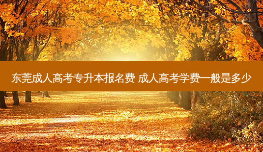 东莞成人高考专升本报名费 成人高考学费一般是多少-第1张图片-天智网 东莞成人高考专升本报名费 成人高考学费一般是多少-第1张图片-天智网