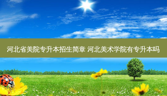 河北省美院专升本招生简章 河北美术学院有专升本吗-第1张图片-天智网 河北省美院专升本招生简章 河北美术学院有专升本吗-第1张图片-天智网