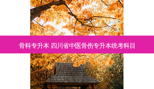 骨科专升本 四川省中医骨伤专升本统考科目-第1张图片-天智网 骨科专升本 四川省中医骨伤专升本统考科目-第1张图片-天智网