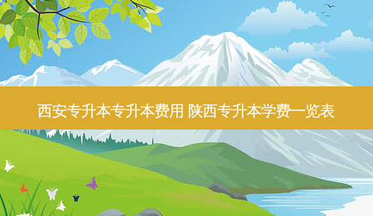 西安专升本专升本费用 陕西专升本学费一览表-第1张图片-天智网 西安专升本专升本费用 陕西专升本学费一览表-第1张图片-天智网