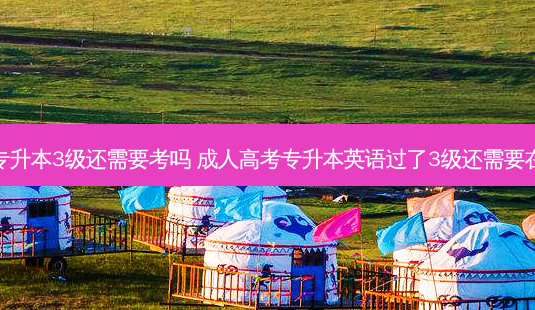 成人专升本3级还需要考吗 成人高考专升本英语过了3级还需要在考吗-第1张图片-天智网 成人专升本3级还需要考吗 成人高考专升本英语过了3级还需要在考吗-第1张图片-天智网