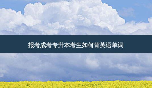 报考成考专升本考生如何背英语单词-第1张图片-天智网 报考成考专升本考生如何背英语单词-第1张图片-天智网