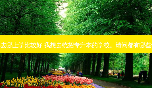 统招专升本去哪上学比较好 我想去统招专升本的学校。请问都有哪些学校可以去-第1张图片-天智网 统招专升本去哪上学比较好 我想去统招专升本的学校。请问都有哪些学校可以去-第1张图片-天智网