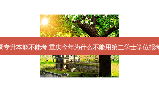 重庆选调专升本能不能考 重庆今年为什么不能用第二学士学位报考选调生-第1张图片-天智网 重庆选调专升本能不能考 重庆今年为什么不能用第二学士学位报考选调生-第1张图片-天智网