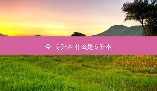 今 专升本 什么是专升本-第1张图片-天智网 今 专升本 什么是专升本-第1张图片-天智网