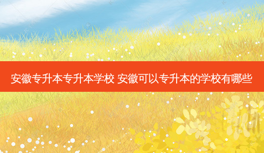 安徽专升本专升本学校 安徽可以专升本的学校有哪些-第1张图片-天智网 安徽专升本专升本学校 安徽可以专升本的学校有哪些-第1张图片-天智网