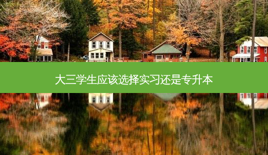 大三学生应该选择实习还是专升本-第1张图片-天智网 大三学生应该选择实习还是专升本-第1张图片-天智网