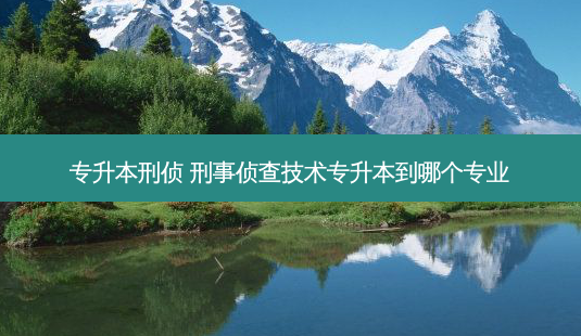 专升本刑侦 刑事侦查技术专升本到哪个专业-第1张图片-天智网 专升本刑侦 刑事侦查技术专升本到哪个专业-第1张图片-天智网