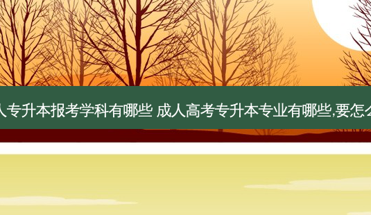 成人专升本报考学科有哪些 成人高考专升本专业有哪些,要怎么选-第1张图片-天智网 成人专升本报考学科有哪些 成人高考专升本专业有哪些,要怎么选-第1张图片-天智网