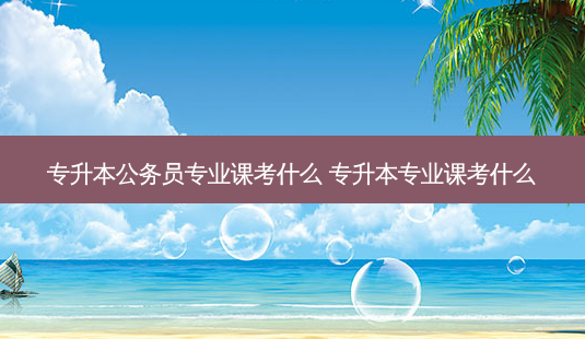 专升本公务员专业课考什么 专升本专业课考什么-第1张图片-天智网 专升本公务员专业课考什么 专升本专业课考什么-第1张图片-天智网