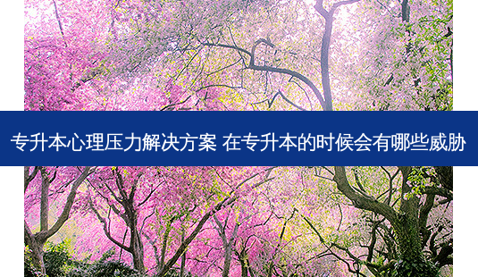 专升本心理压力解决方案 在专升本的时候会有哪些威胁-第1张图片-天智网 专升本心理压力解决方案 在专升本的时候会有哪些威胁-第1张图片-天智网