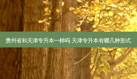 贵州省和天津专升本一样吗 天津专升本有哪几种形式-第1张图片-天智网 贵州省和天津专升本一样吗 天津专升本有哪几种形式-第1张图片-天智网