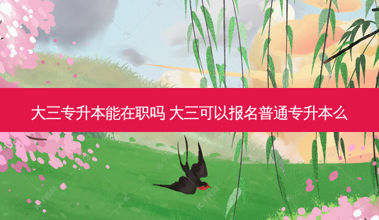 大三专升本能在职吗 大三可以报名普通专升本么-第1张图片-天智网 大三专升本能在职吗 大三可以报名普通专升本么-第1张图片-天智网