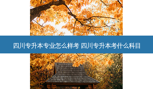 四川专升本专业怎么样考 四川专升本考什么科目-第1张图片-天智网 四川专升本专业怎么样考 四川专升本考什么科目-第1张图片-天智网