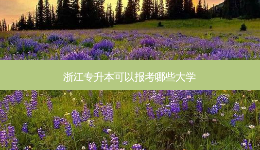 浙江专升本可以报考哪些大学-第1张图片-天智网 浙江专升本可以报考哪些大学-第1张图片-天智网