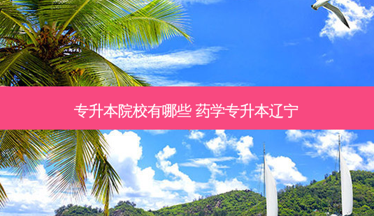 专升本院校有哪些 药学专升本辽宁-第1张图片-天智网 专升本院校有哪些 药学专升本辽宁-第1张图片-天智网