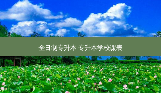 全日制专升本 专升本学校课表-第1张图片-天智网 全日制专升本 专升本学校课表-第1张图片-天智网