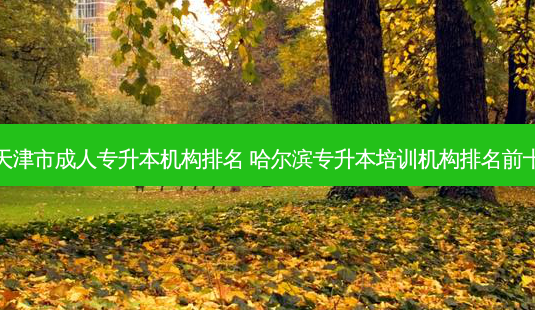 天津市成人专升本机构排名 哈尔滨专升本培训机构排名前十-第1张图片-天智网 天津市成人专升本机构排名 哈尔滨专升本培训机构排名前十-第1张图片-天智网
