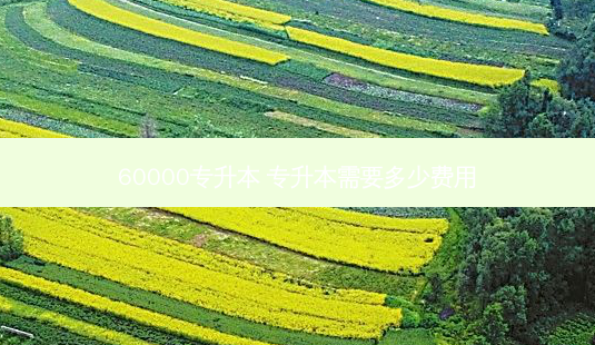 60000专升本 专升本需要多少费用-第1张图片-天智网 60000专升本 专升本需要多少费用-第1张图片-天智网