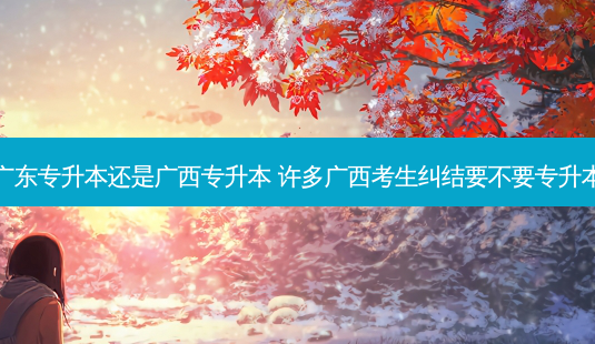 广东专升本还是广西专升本 许多广西考生纠结要不要专升本-第1张图片-天智网 广东专升本还是广西专升本 许多广西考生纠结要不要专升本-第1张图片-天智网