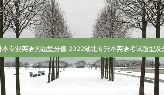 专升本专业英语的题型分值 2022湖北专升本英语考试题型及分值-第1张图片-天智网 专升本专业英语的题型分值 2022湖北专升本英语考试题型及分值-第1张图片-天智网