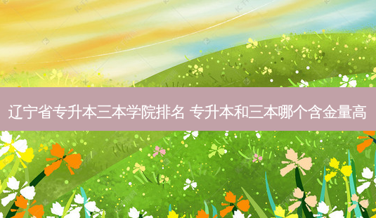 辽宁省专升本三本学院排名 专升本和三本哪个含金量高-第1张图片-天智网 辽宁省专升本三本学院排名 专升本和三本哪个含金量高-第1张图片-天智网