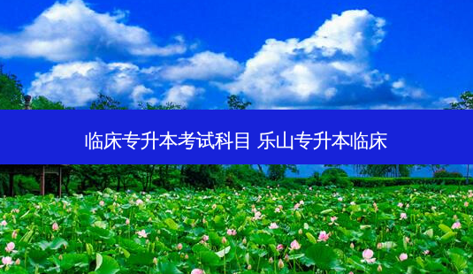 临床专升本考试科目 乐山专升本临床-第1张图片-天智网 临床专升本考试科目 乐山专升本临床-第1张图片-天智网