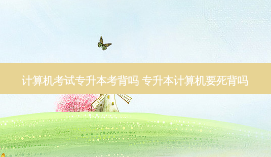 计算机考试专升本考背吗 专升本计算机要死背吗-第1张图片-天智网 计算机考试专升本考背吗 专升本计算机要死背吗-第1张图片-天智网