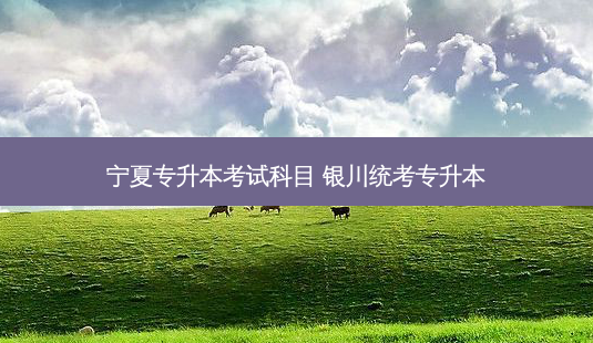 宁夏专升本考试科目 银川统考专升本-第1张图片-天智网 宁夏专升本考试科目 银川统考专升本-第1张图片-天智网