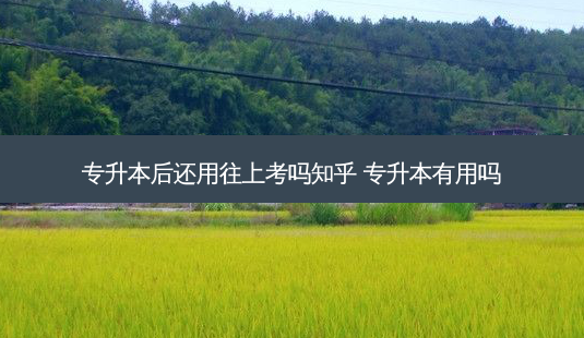 专升本后还用往上考吗知乎 专升本有用吗-第1张图片-天智网 专升本后还用往上考吗知乎 专升本有用吗-第1张图片-天智网