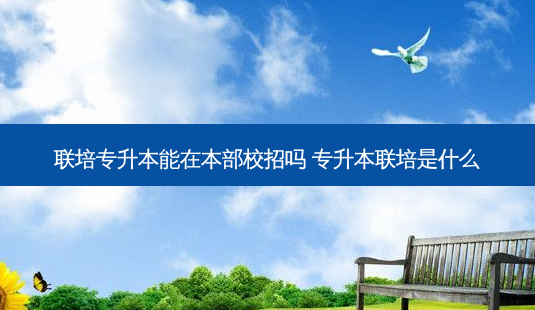 联培专升本能在本部校招吗 专升本联培是什么-第1张图片-天智网 联培专升本能在本部校招吗 专升本联培是什么-第1张图片-天智网