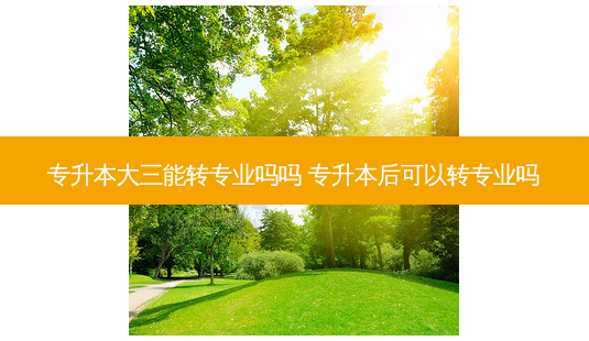 专升本大三能转专业吗吗 专升本后可以转专业吗-第1张图片-天智网 专升本大三能转专业吗吗 专升本后可以转专业吗-第1张图片-天智网