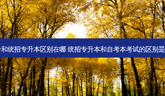 自考和统招专升本区别在哪 统招专升本和自考本考试的区别是什么-第1张图片-天智网 自考和统招专升本区别在哪 统招专升本和自考本考试的区别是什么-第1张图片-天智网