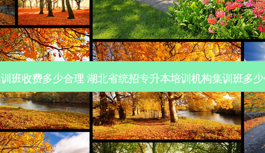 专升本集训班收费多少合理 湖北省统招专升本培训机构集训班多少钱贵不贵-第1张图片-天智网 专升本集训班收费多少合理 湖北省统招专升本培训机构集训班多少钱贵不贵-第1张图片-天智网