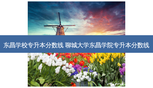 东昌学校专升本分数线 聊城大学东昌学院专升本分数线-第1张图片-天智网 东昌学校专升本分数线 聊城大学东昌学院专升本分数线-第1张图片-天智网