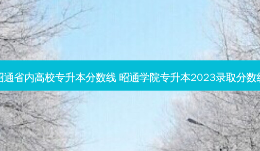 昭通省内高校专升本分数线 昭通学院专升本2023录取分数线-第1张图片-天智网 昭通省内高校专升本分数线 昭通学院专升本2023录取分数线-第1张图片-天智网