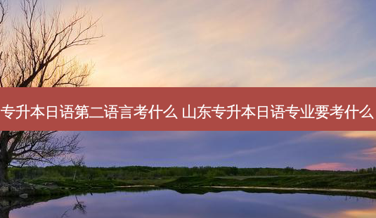 专升本日语第二语言考什么 山东专升本日语专业要考什么-第1张图片-天智网 专升本日语第二语言考什么 山东专升本日语专业要考什么-第1张图片-天智网