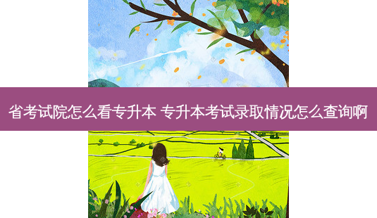 省考试院怎么看专升本 专升本考试录取情况怎么查询啊-第1张图片-天智网 省考试院怎么看专升本 专升本考试录取情况怎么查询啊-第1张图片-天智网