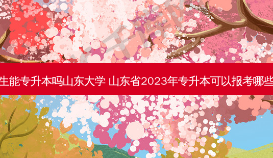复读生能专升本吗山东大学 山东省2023年专升本可以报考哪些大学-第1张图片-天智网 复读生能专升本吗山东大学 山东省2023年专升本可以报考哪些大学-第1张图片-天智网