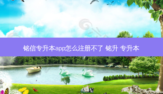 铭信专升本app怎么注册不了 铭升 专升本-第1张图片-天智网 铭信专升本app怎么注册不了 铭升 专升本-第1张图片-天智网